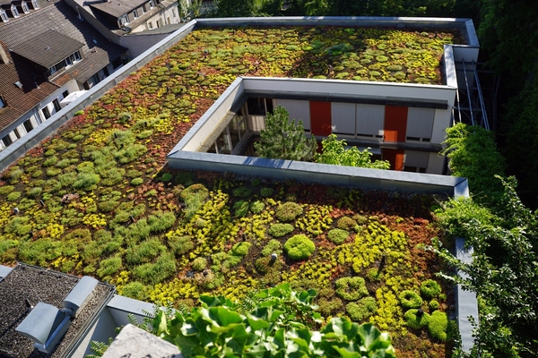 commercial green flat roof